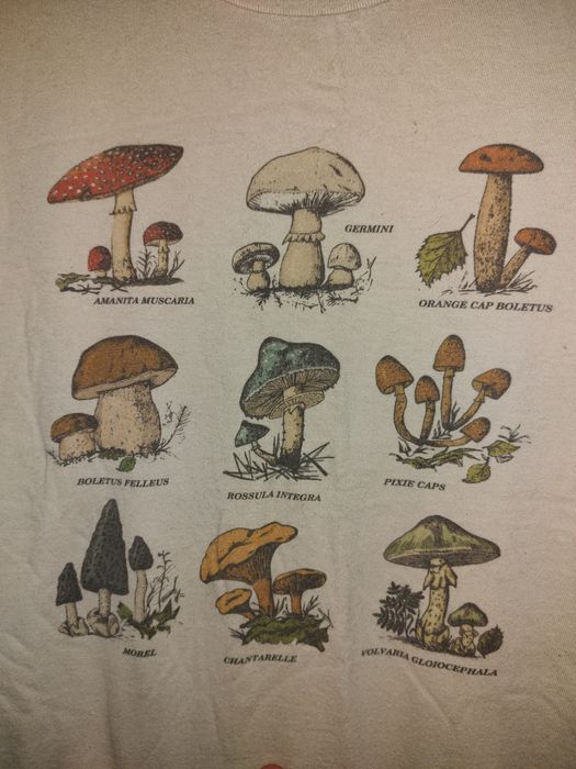 Футболки по 100 грн