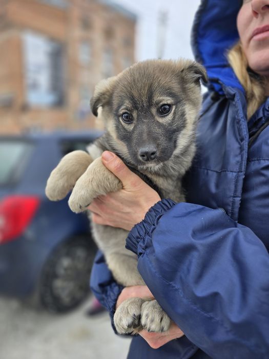 Дівчинка в добрі ручки!