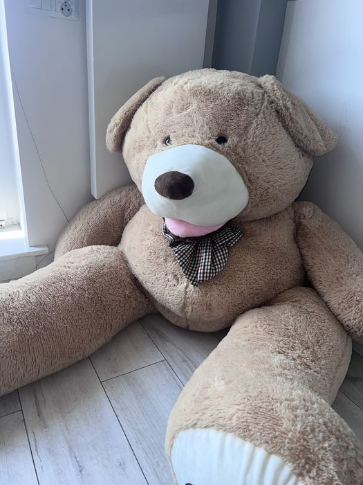 Duży mis Ok 170cm