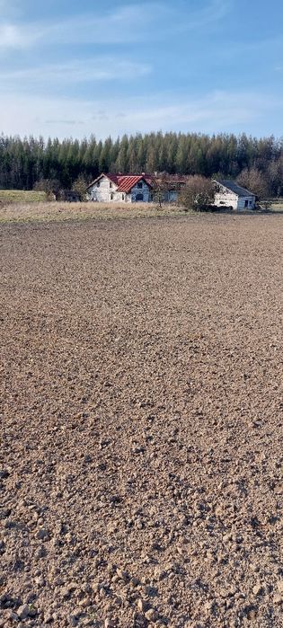 Sprzedam gospodarstwo rolne