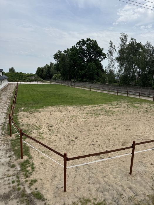 Do wynajęcia stajnia 6 boksów 3.5 ha wybieg