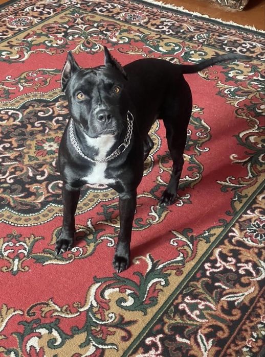 Шукаємо дівчинку