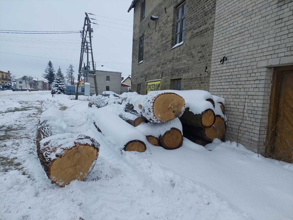 Dąb tartaczny, kłoda debowa