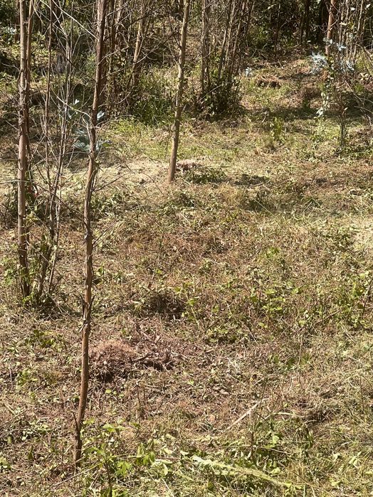Faço limpezas de terrenos quintais