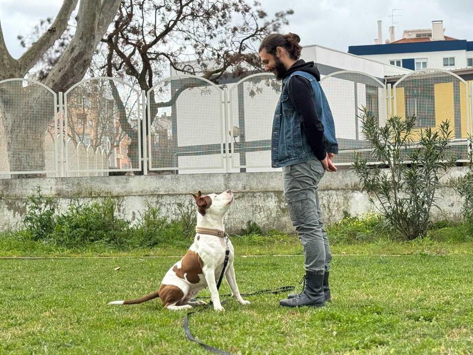 Treinador de Cães | Obediência | Pet Sitting | Passeios