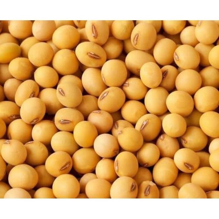 Насіння сої гмо Аполло рання