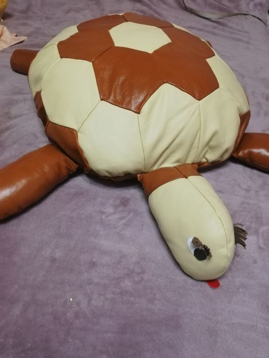 Шкіряна черепаха.