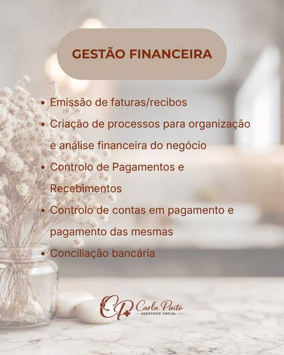 ASSISTENTE VIRTUAL ADMINISTRATIVA E FINANCEIRA489310413348546562