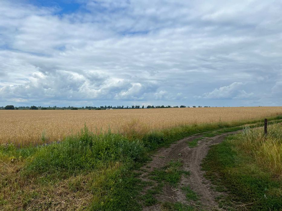 продаж земельної ділянки, Митниця
