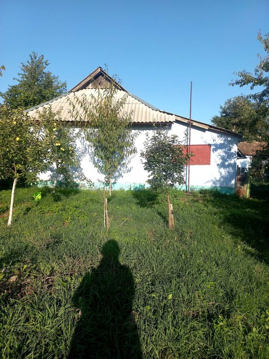 Продам будинок з земельною ділянкою в смт. Вендичанни