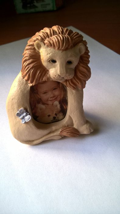 New Lion Frame for ID-Style Photo64740104449923120