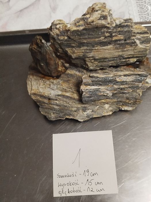 Sprzedam kompozycję do akwarium