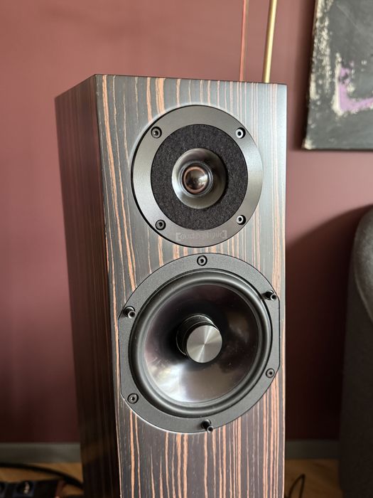 Audio Physic Tempo+ Ebony Polska