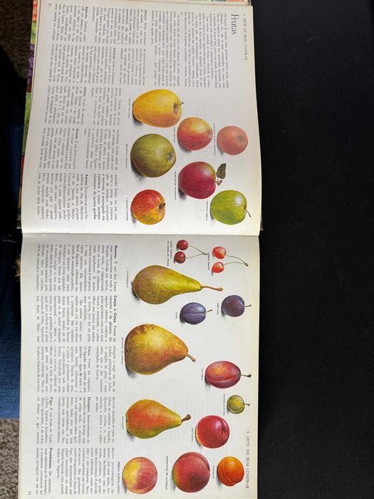 Livro “Doze Meses de Cozinha” – capa dura, ilustrado