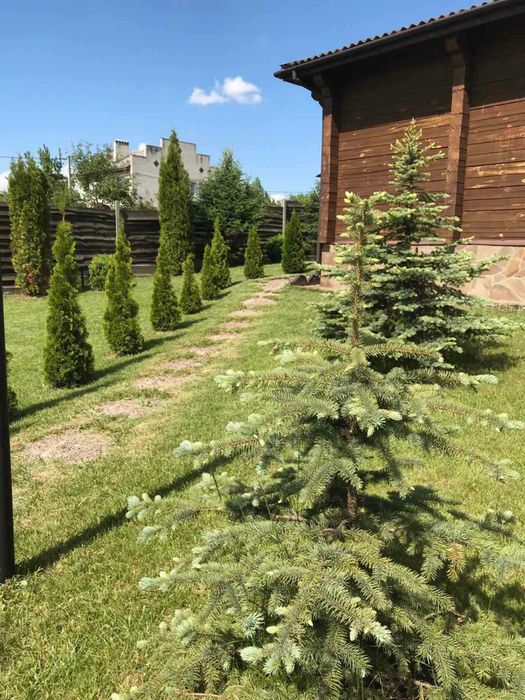 Продам чудовий будинок в с. Кієнка, Чернігівського р-ну