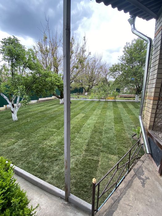 Рулонный/Посевной газон + Автополив + Обслуживание