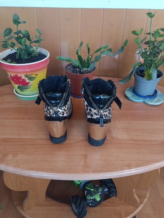 Жіночі леопардові снікерси р.39