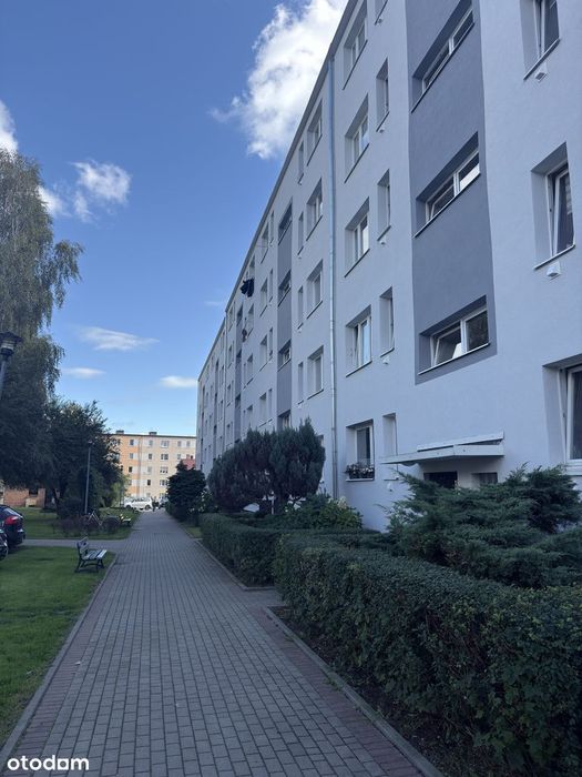 2 Pokoje | Balkon | Piwnica | Oddzielna Kuchnia | Piłsudskiego