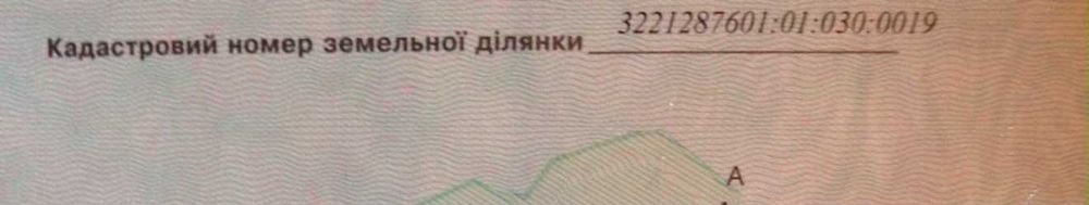 Рудня  земля 65 соток .