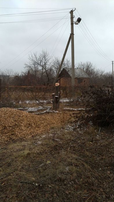 Дробление 1000, измельчение веток (1100 грн/час)