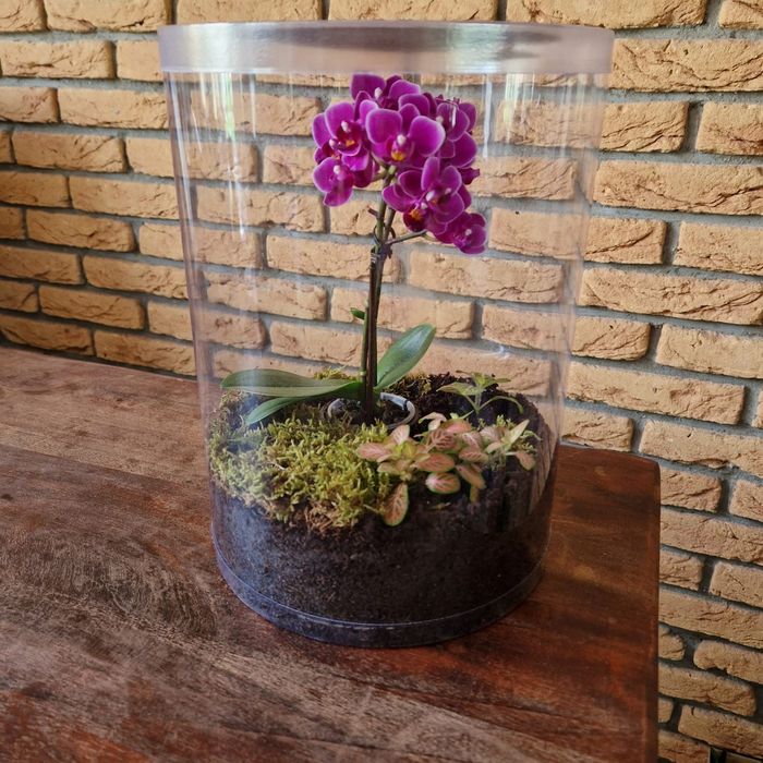 Terrarium z wentylacją - tuba 21x35cm - dla modliszek, pająków - duża