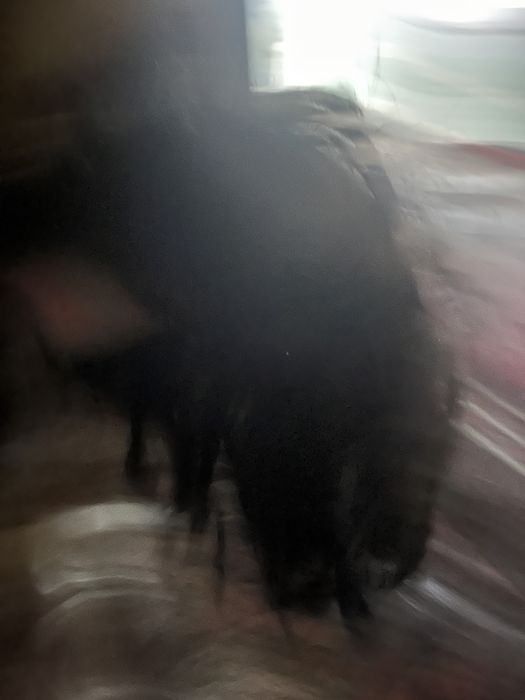 Peruka czarna na halloween