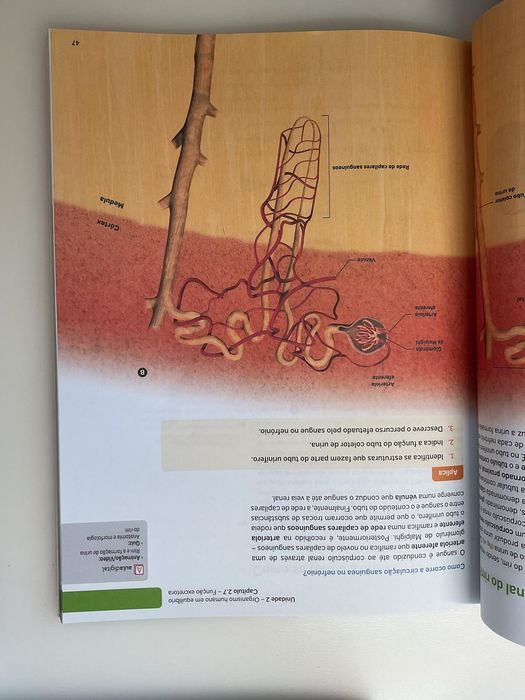 ADN volume 1 e 2  ciências 9 ano