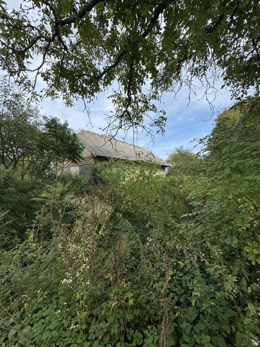 Продаж будинку  по вул. Польова в с.Заболоття 60 сот. землі