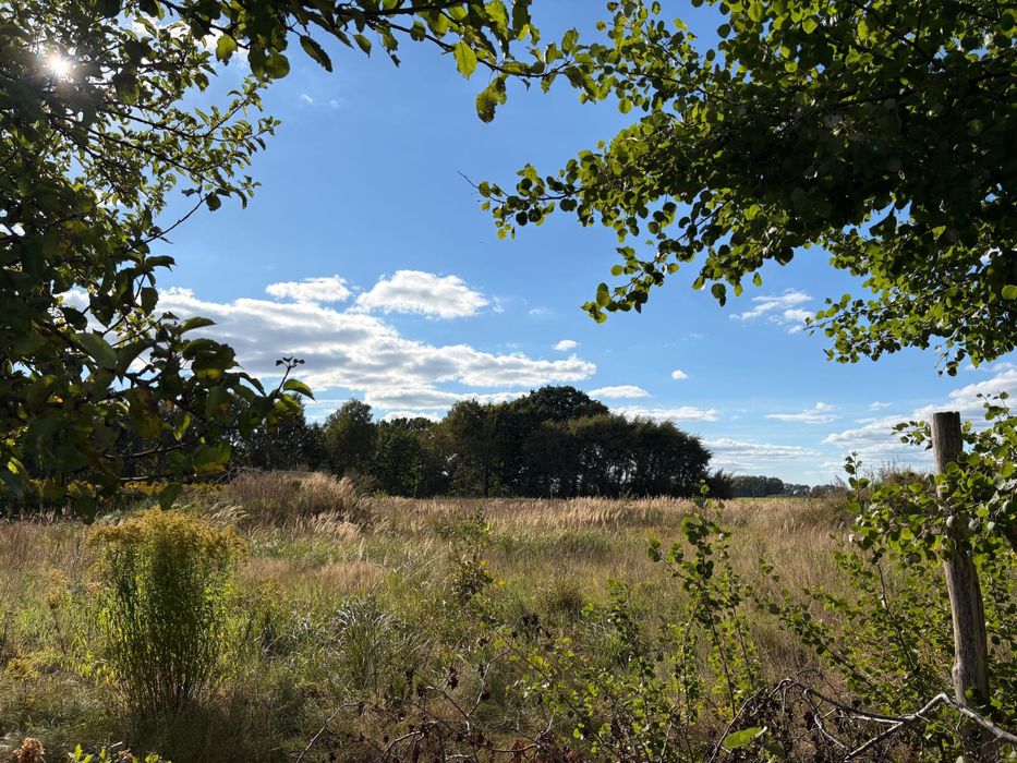 Działka Gardna Nowogard