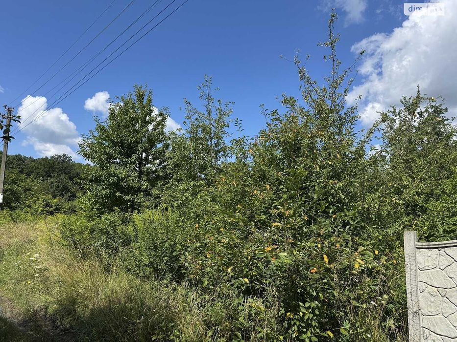 ‼️Земельна ділянка мрії біля лісу — Давидківці‼️