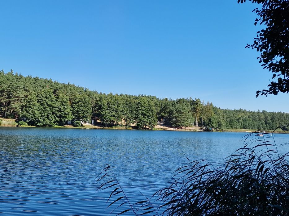 Apartament nad jeziorem mieszkanie pokoje wynajem lokum domek Borówno