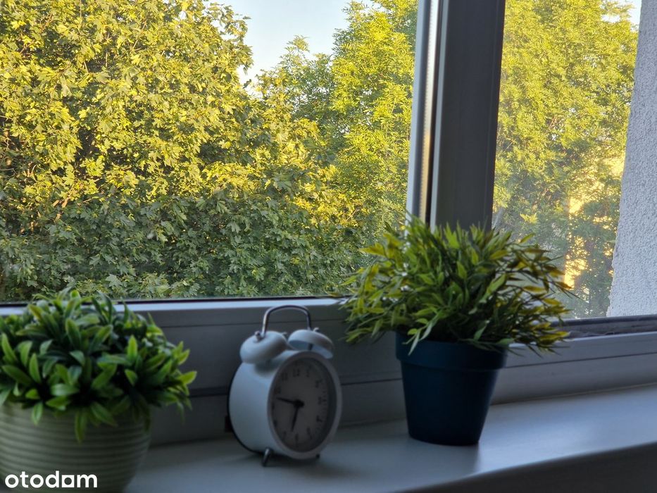Mieszkanie kawalerka na sprzedaż 27 m² przy parku | Widzew, Zarzew