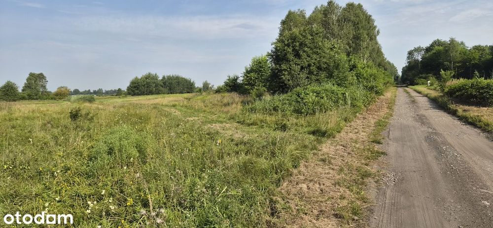 Działka Budowlana 1000m²