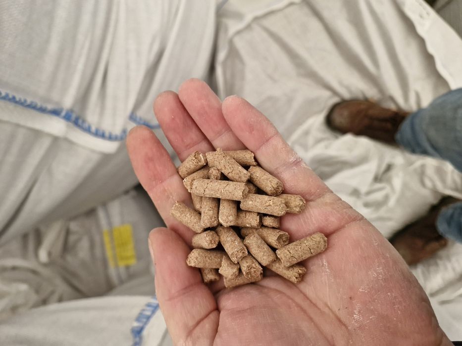 Mix pszenny 17% białka pszenny mix jęczmień owies