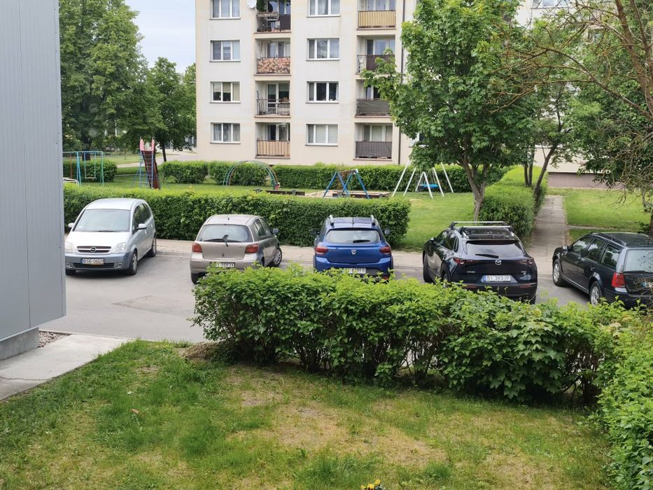 Zdjęcie 8