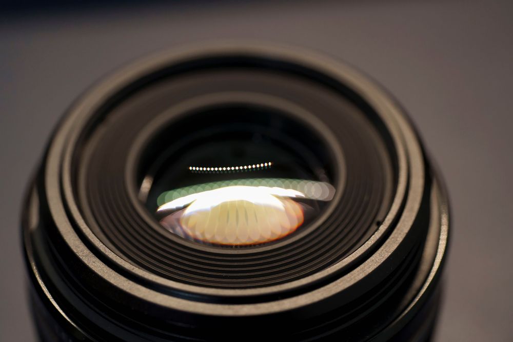 Canon EF-S 60mm f/2.8 Macro USM — 1:1 | Revista pela Canon