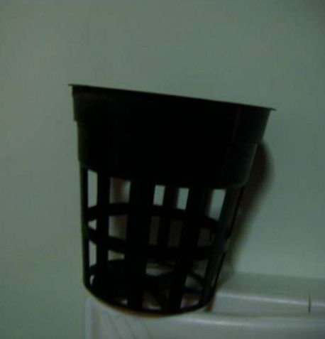 Hidroponia - 50 Vasos para plantas de aquário ou hidroponia