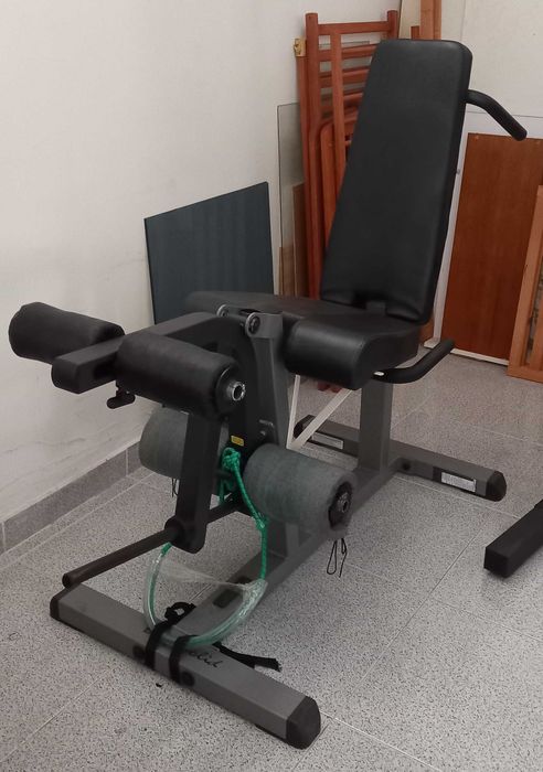 Cadeira de extensão/flexão