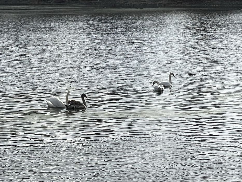 Новий будинок на власній ділянці 6,5сот (поруч Буча, Ірпінь)