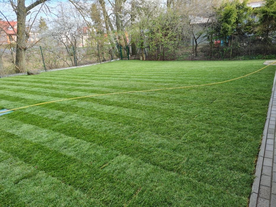 Glebogryzarka separacyjna 0,99gr/m2 Zakładanie trawników