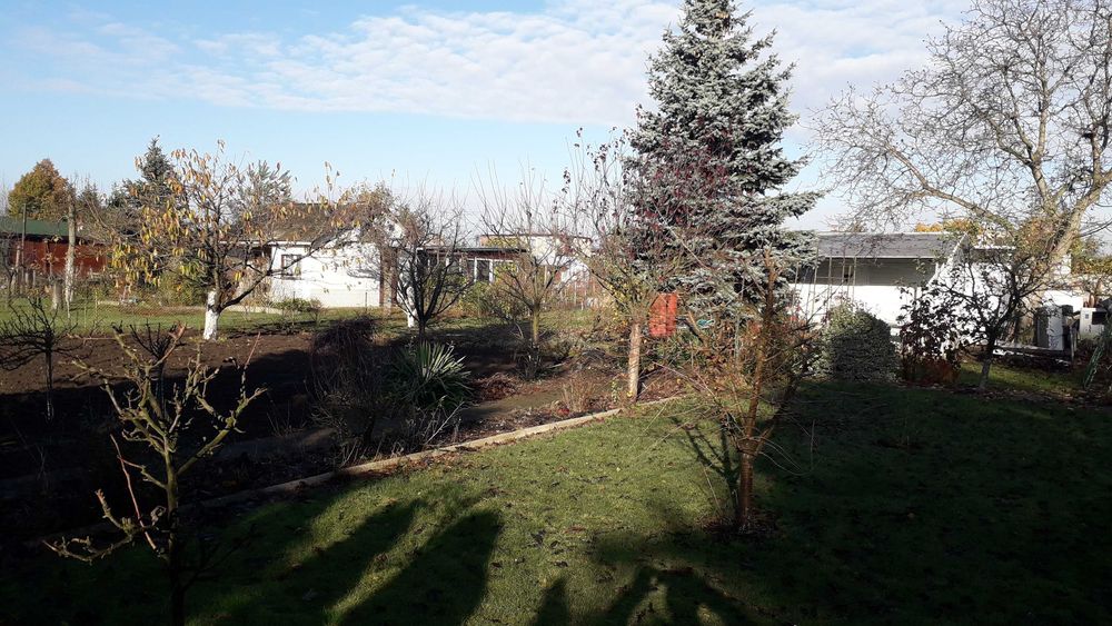 Działka ogrodowa ROD