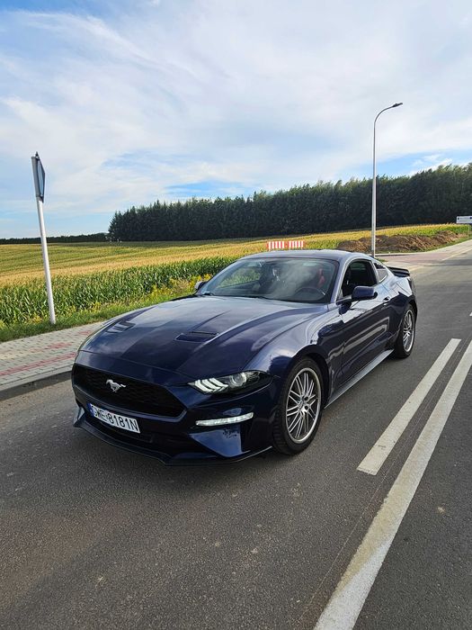 Mustang Zarejstrowany w Polsce Lift