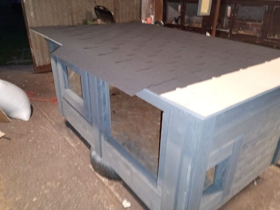 Na sprzedaż kurnik wraz z kurkami Silka