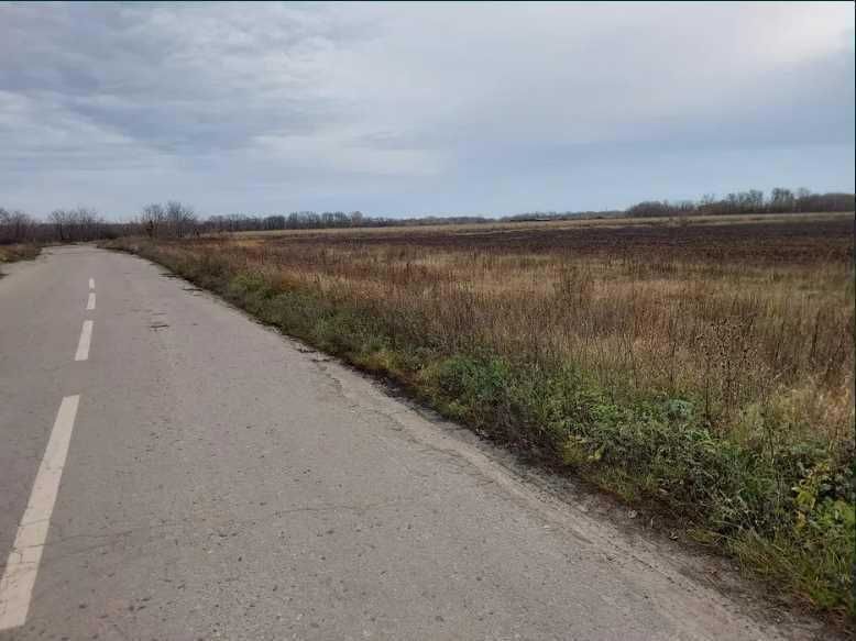 Земельна ділянка сільськогосподарського призначення.