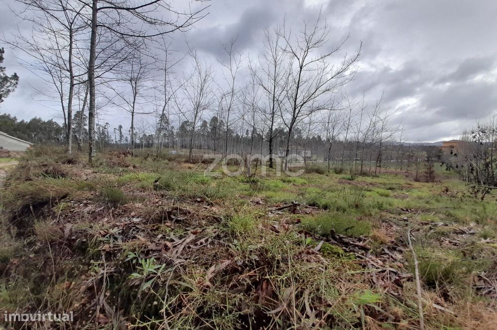 Terreno para construção com 5400m2