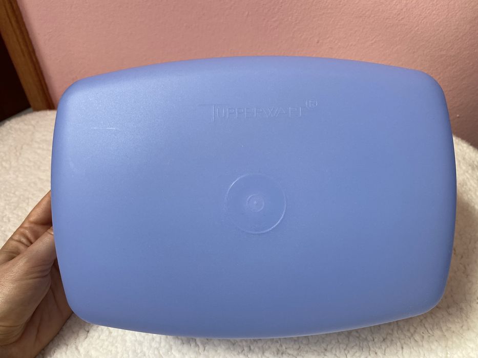 TUPPERWARE | Bread/Cheese Container (New)64730280405121121