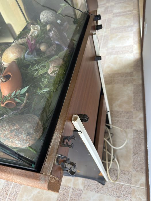 Aquario 60l  + Armario + Aquario Pequeno