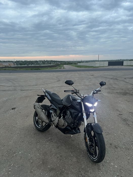 Geon stinger 250R 2021