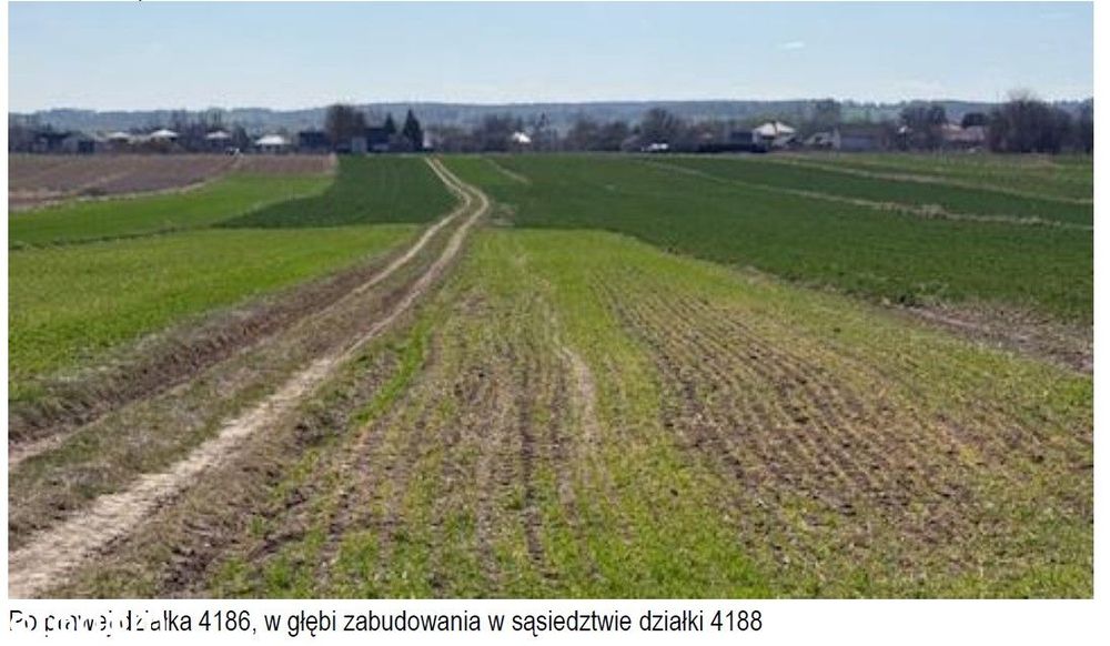 Syndyk udział 1/2 nieruchomość gruntowa Przedmieście Szczebrzeszyńskie - Widok 4