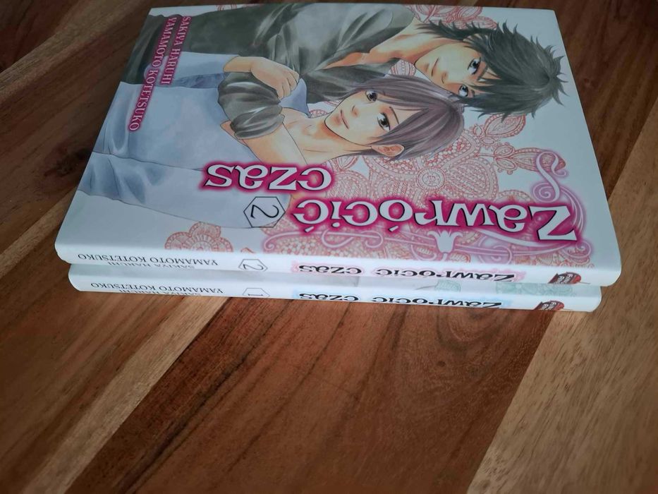 Zawrócić czas. Tom 1 i 2 Sakiya Haruhi Yamamoto Kotetsuko, Manga BL